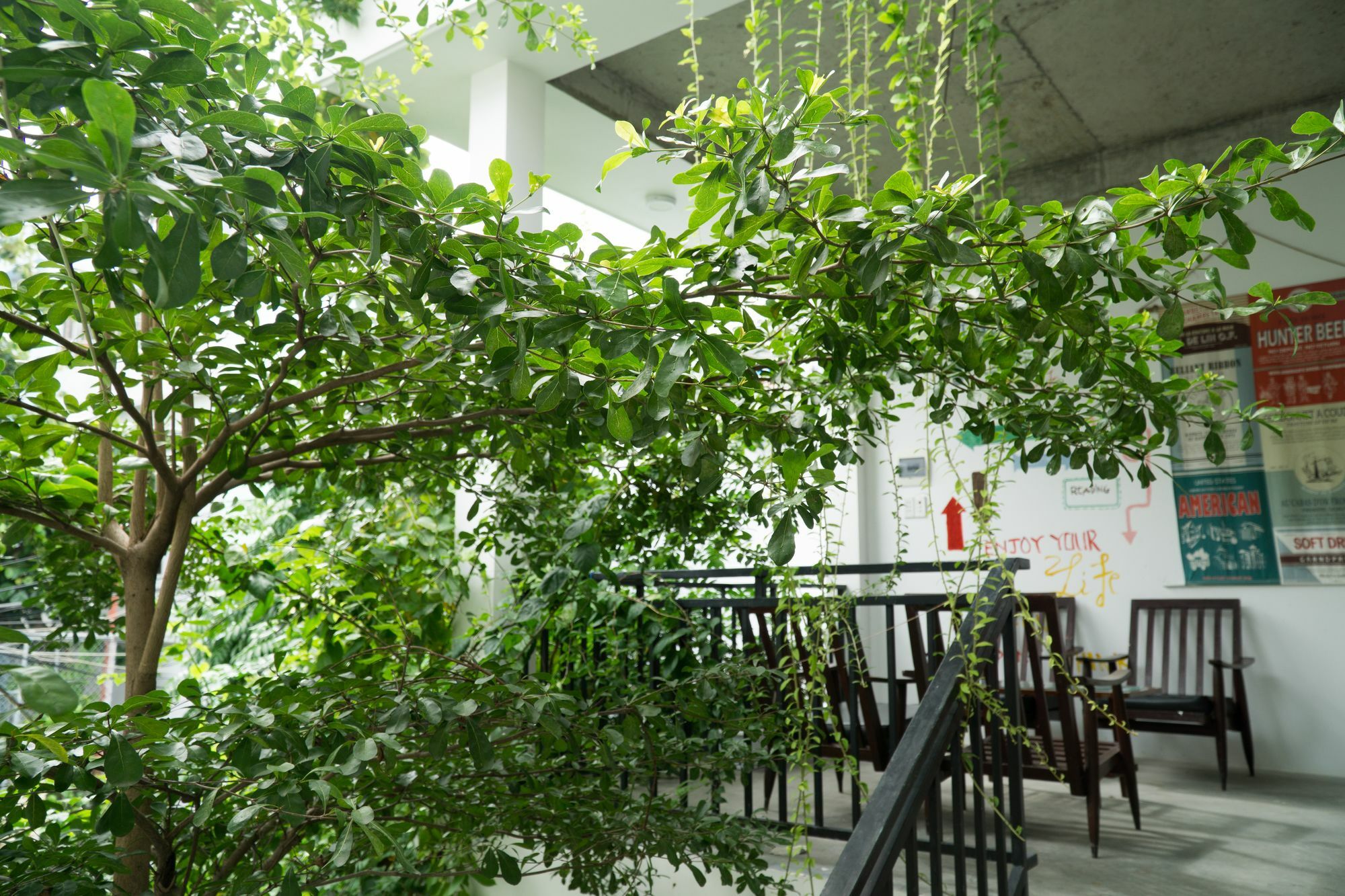 Kiu House - 3Br - Green & Artistic دا نانغ المظهر الخارجي الصورة
