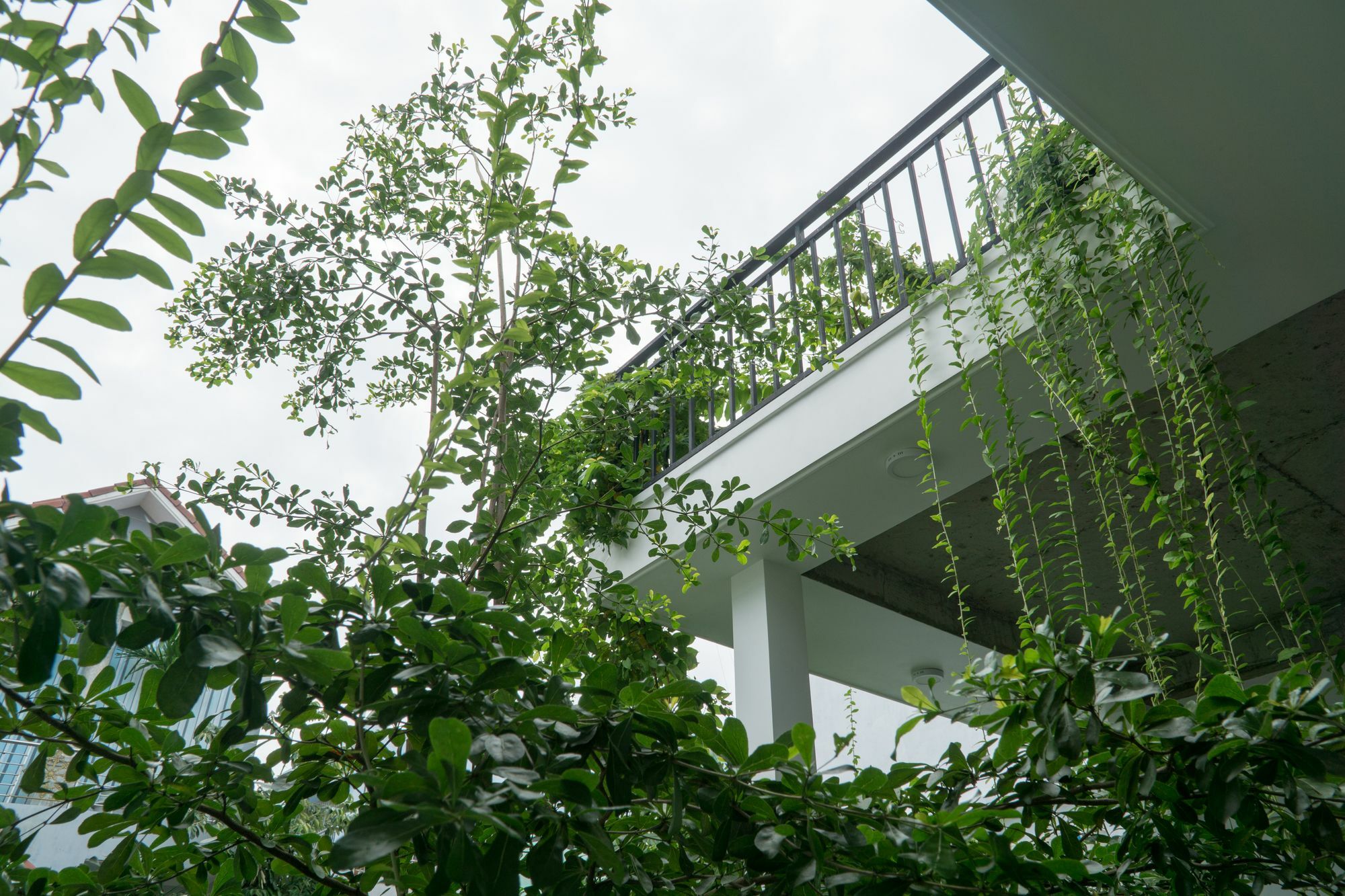 Kiu House - 3Br - Green & Artistic دا نانغ المظهر الخارجي الصورة